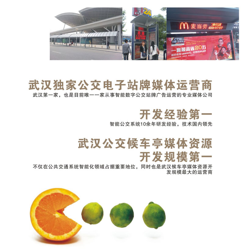 主营业务